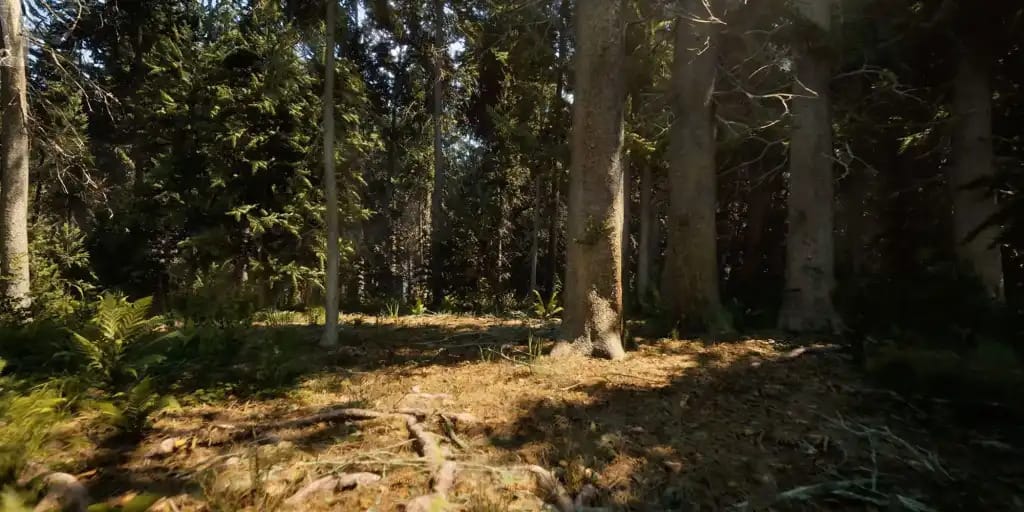 Procedural World Generation in Unreal Engine 5.6