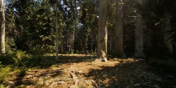 Procedural World Generation in Unreal Engine 5.6